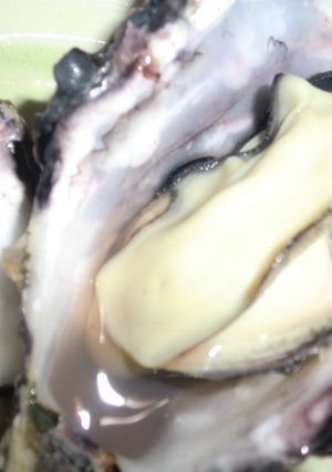 牡蠣屋さん直伝☆殻つき牡蠣の食べ方-レシピのメイン写真