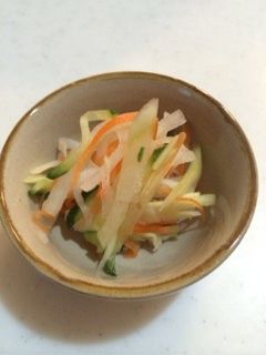 箸休めに、、甘酢漬け-レシピのメイン写真