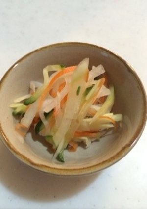 箸休めに、、甘酢漬け-レシピのメイン写真