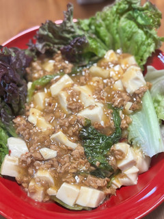 大豆ミート麻婆豆腐-レシピのメイン写真