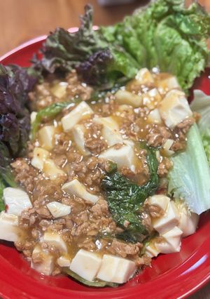 大豆ミート麻婆豆腐-レシピのメイン写真