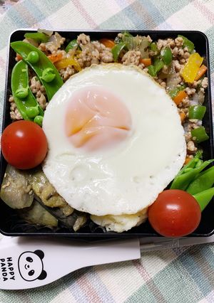 5/13ﾖｯﾁｬﾝ☆ガパオライスお弁当-レシピのメイン写真