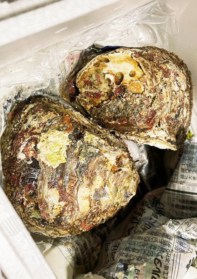 殻付き牡蠣のオーブン焼き-レシピのメイン写真