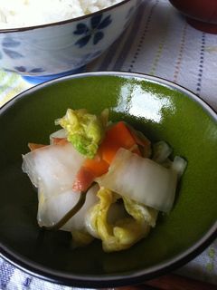 すぐ出来る☆梅干入り白菜のお漬物-レシピのメイン写真