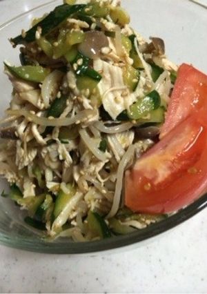 鶏胸肉で♪もやしと茹で鳥の中華風サラダ-レシピのメイン写真
