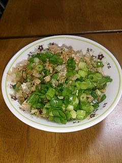 ねぎだけ~(^^)ほかほかご飯のお供に-レシピのメイン写真