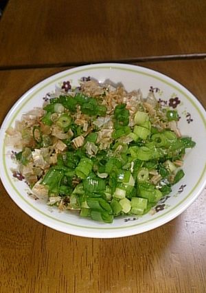 ねぎだけ～(^^)ほかほかご飯のお供に-レシピのメイン写真