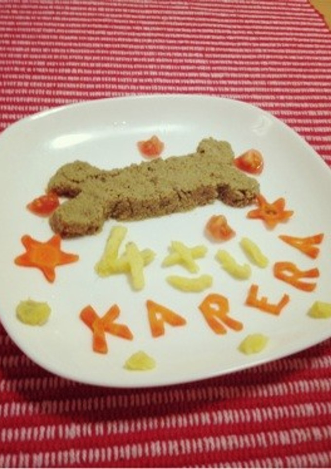 犬用 ご飯-レシピのメイン写真