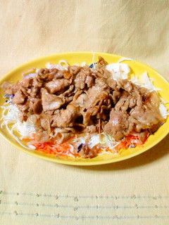 豚肉のソース炒め(*゚ー゚)v-レシピのメイン写真