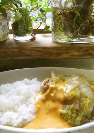 絹のような舌触りの白菜とろん煮-レシピのメイン写真