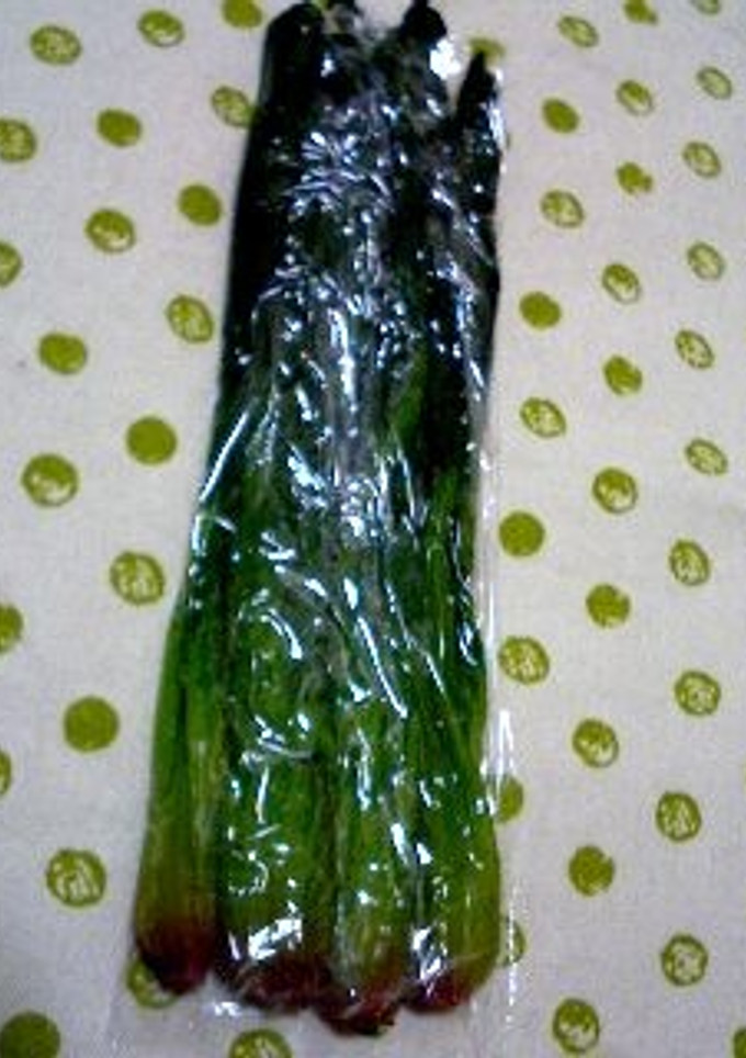 ほうれん草の保存方法-レシピのメイン写真