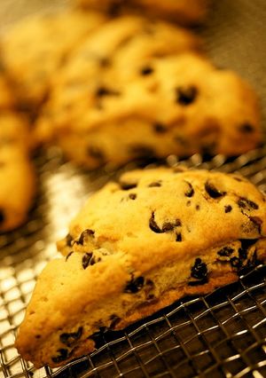 さくっと☆チョコスコーン-レシピのメイン写真