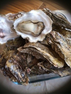 牡蠣の食べ方(殻付き★加熱)-レシピのメイン写真