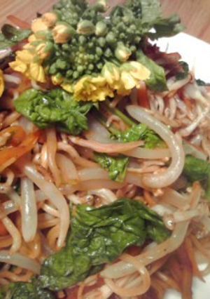 東北福島「腹幸」!春待ち焼きそば-レシピのメイン写真