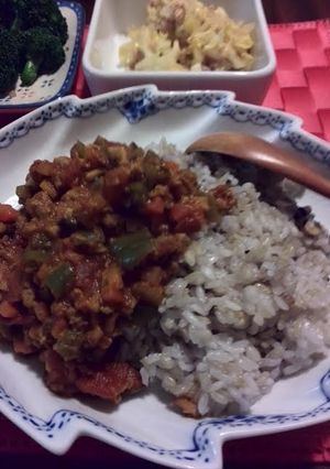 大豆ミートでキーマカレー-レシピのメイン写真