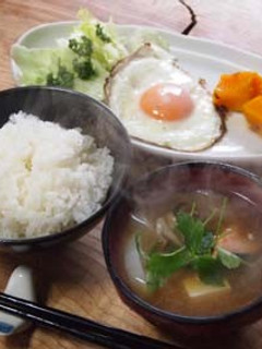 味噌汁:大根と鮭と豆腐とシメジ-レシピのメイン写真