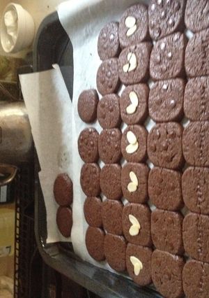 チョコチップココアクッキー-レシピのメイン写真