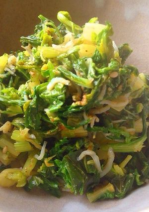 胡麻和えの素で、簡単大量にセロリの葉-レシピのメイン写真