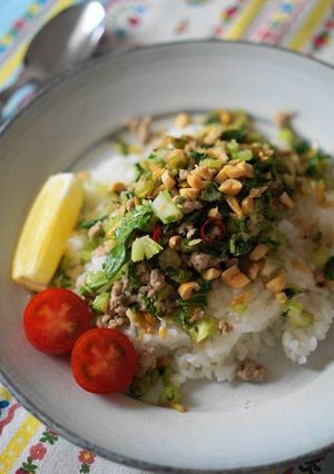 ベトナム風のっけ飯♬炒めひき肉とセロリ-レシピのメイン写真