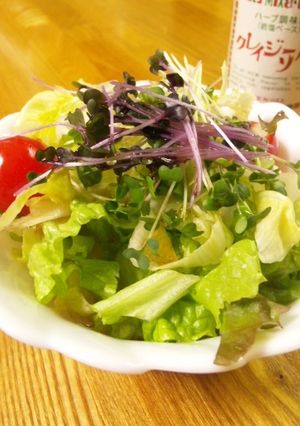 クレイジーソルト☆ごま油de旨いサラダ-レシピのメイン写真