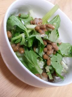 セロリと納豆の梅和え-レシピのメイン写真