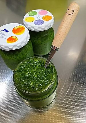 自家製バジルペースト♪２０１５-レシピのメイン写真
