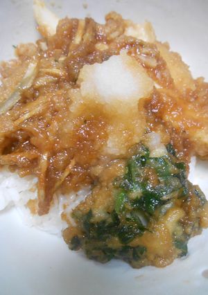 残った天ぷらで煮天丼・大根おろしのせ-レシピのメイン写真
