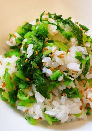 春色♪菜飯❀-レシピのメイン写真