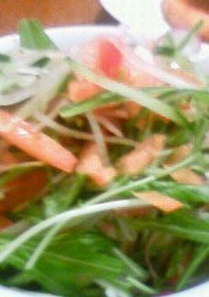 5種の野菜のサラダ-レシピのメイン写真