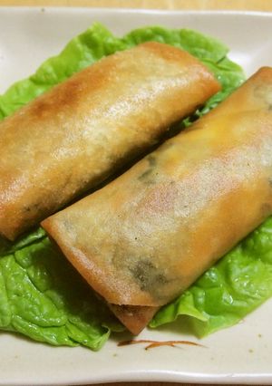 チーズinひじき春巻き-レシピのメイン写真