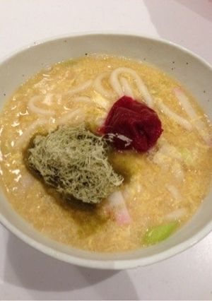 胃に優しい☆梅玉うどん♪-レシピのメイン写真