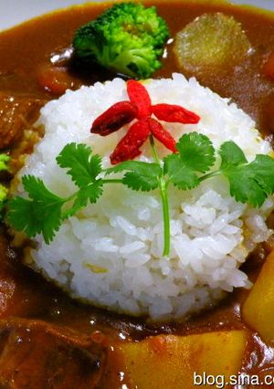 薬膳カリー-レシピのメイン写真