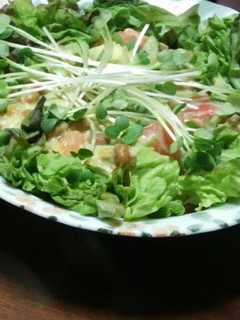 爽やか☆トマト納豆アボカドのマヨサラダ-レシピのメイン写真