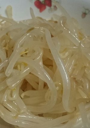 後一品のもやしあえ-レシピのメイン写真