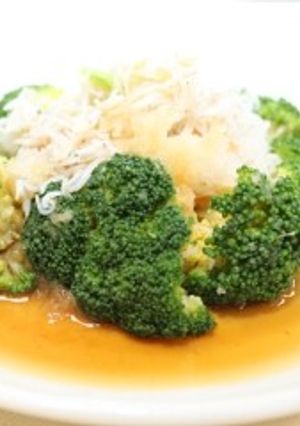 ブロッコリーのさっぱりおろし和え-レシピのメイン写真