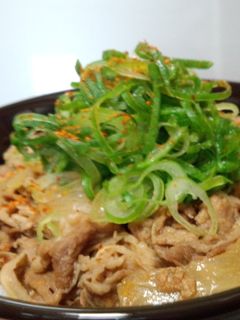 早いぞ!旨いぞ!牛丼~♪-レシピのメイン写真