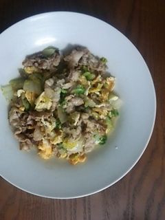 野菜炒め(豚肉と白菜と卵)-レシピのメイン写真