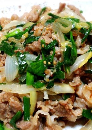ご飯に合う☆ネギ塩の豚肉炒め-レシピのメイン写真