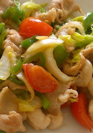 トマトと生姜？サッパリ肉野菜炒め♪-レシピのメイン写真