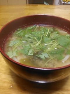 もやしと三つ葉の味噌汁-レシピのメイン写真