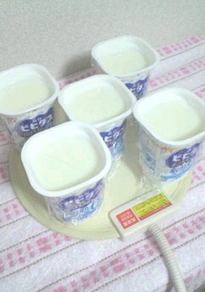 アヒル家の手作り無脂肪ヨーグルト♪-レシピのメイン写真