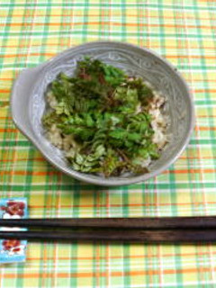 木の芽ご飯-レシピのメイン写真