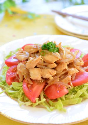 ササミともやしの野菜モリモリ♪サラダ☆-レシピのメイン写真
