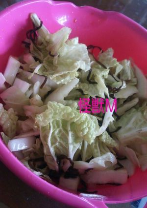 白菜の即席ｻﾗﾀﾞ-レシピのメイン写真