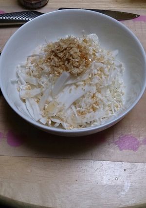 白菜ウマウマサラダ-レシピのメイン写真