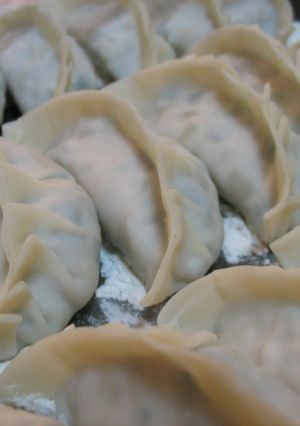 定番☆ジューシー餃子-レシピのメイン写真