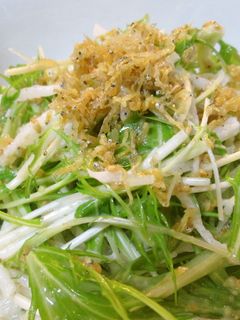 簡単サラダ♬水菜と大根のジャコトッピング-レシピのメイン写真