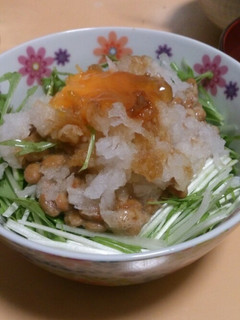 大根おろしと納豆のどんぶり-レシピのメイン写真