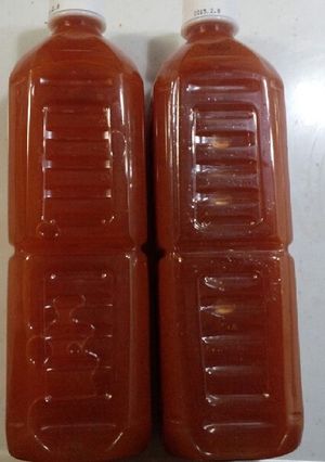 ○○家特産ケロちゃんの野菜ジュース-レシピのメイン写真