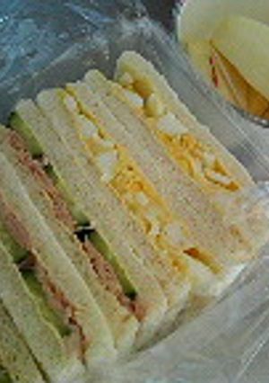 きらはぴの日々弁当(2006年5月)-レシピのメイン写真